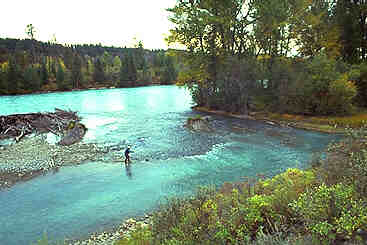 Chilcotin River