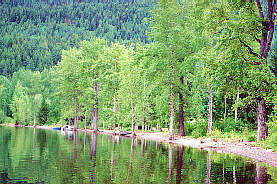 Mahood Lake Campground