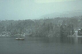 Fog on Fulford Harbour, Saltspring