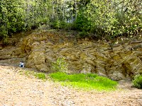 Fossil Beds