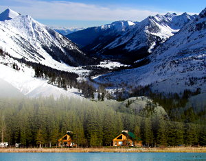 the cabins at whitetail