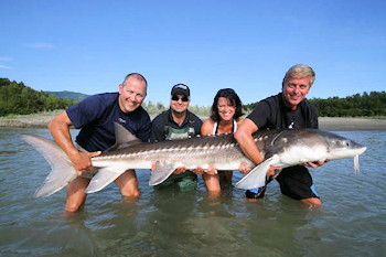 Sturgeon Fishing